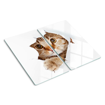 Schneidebrett glas Eine Katze kommt aus einem Loch