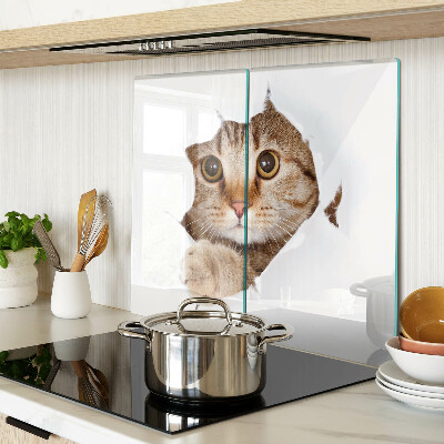 Schneidebrett glas Eine Katze kommt aus einem Loch