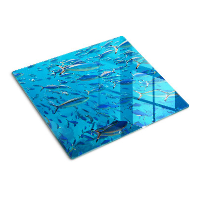 Schneidebrett glas Ein Fischschwarm im klaren Wasser