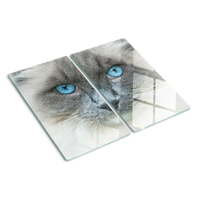 Glasschneidebrett Katze mit blauen Augen