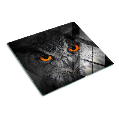 Schneidebrett glas Eule mit orangen Augen