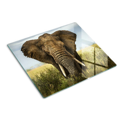 Glasschneidebrett Ein Elefant vor der Kulisse der afrikanischen Savanne