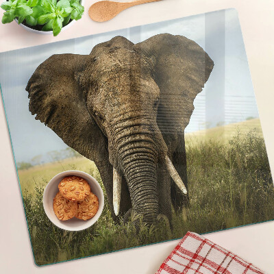 Glasschneidebrett Ein Elefant vor der Kulisse der afrikanischen Savanne