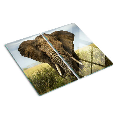 Glasschneidebrett Ein Elefant vor der Kulisse der afrikanischen Savanne