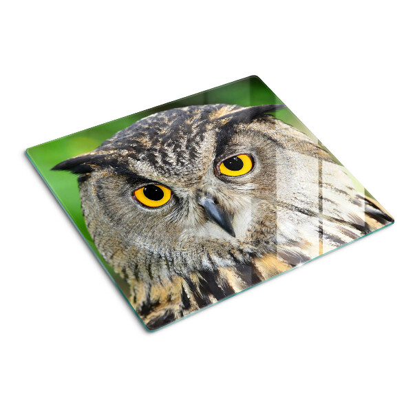 Glasschneidebrett Eule mit ausdrucksstarken Augen