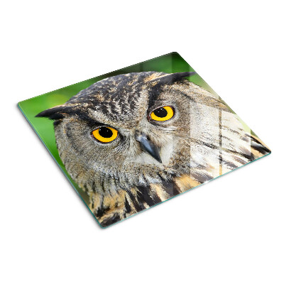 Glasschneidebrett Eule mit ausdrucksstarken Augen