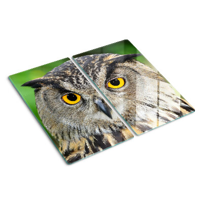 Glasschneidebrett Eule mit ausdrucksstarken Augen