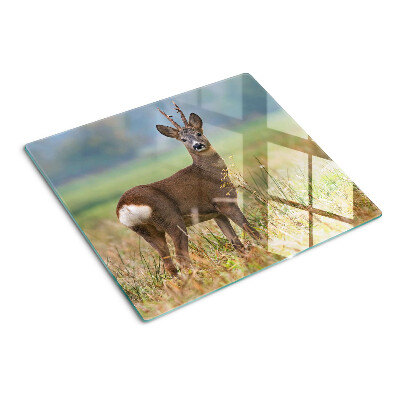 Schneidebrett glas Rehwild in seinem natürlichen Lebensraum