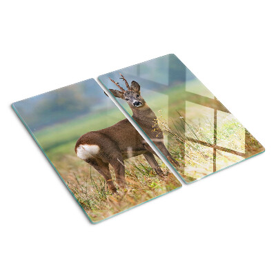 Schneidebrett glas Rehwild in seinem natürlichen Lebensraum
