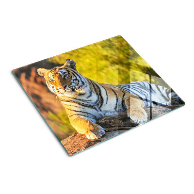 Schneidebrett glas Tiger im Hintergrund der Natur