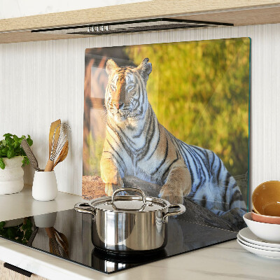 Schneidebrett glas Tiger im Hintergrund der Natur
