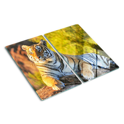 Schneidebrett glas Tiger im Hintergrund der Natur