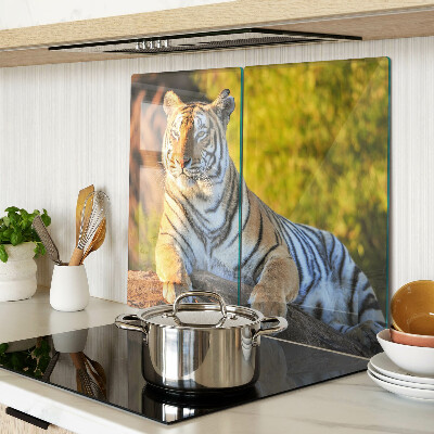 Schneidebrett glas Tiger im Hintergrund der Natur