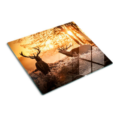 Schneidebrett glas Hirsch im Wald bei Sonnenuntergang