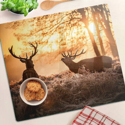Schneidebrett glas Hirsch im Wald bei Sonnenuntergang