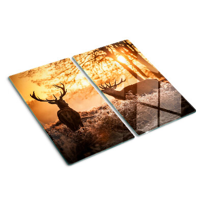Schneidebrett glas Hirsch im Wald bei Sonnenuntergang