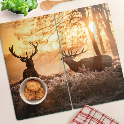 Schneidebrett glas Hirsch im Wald bei Sonnenuntergang