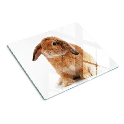 Glasschneidebrett Kaninchen auf weißem Hintergrund
