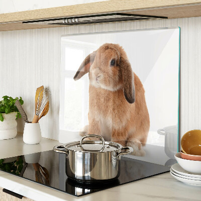 Glasschneidebrett Kaninchen auf weißem Hintergrund