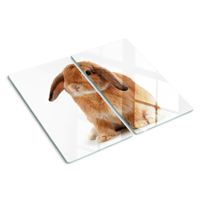 Glasschneidebrett Kaninchen auf weißem Hintergrund