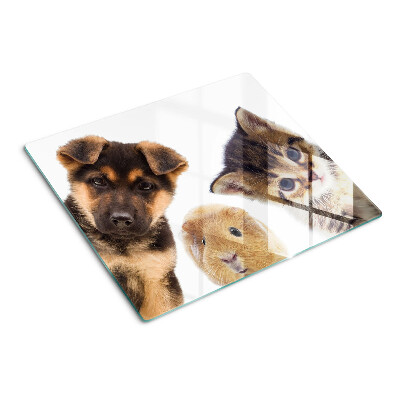 Schneidebrett glas Hunde, Katzen, Kaninchen