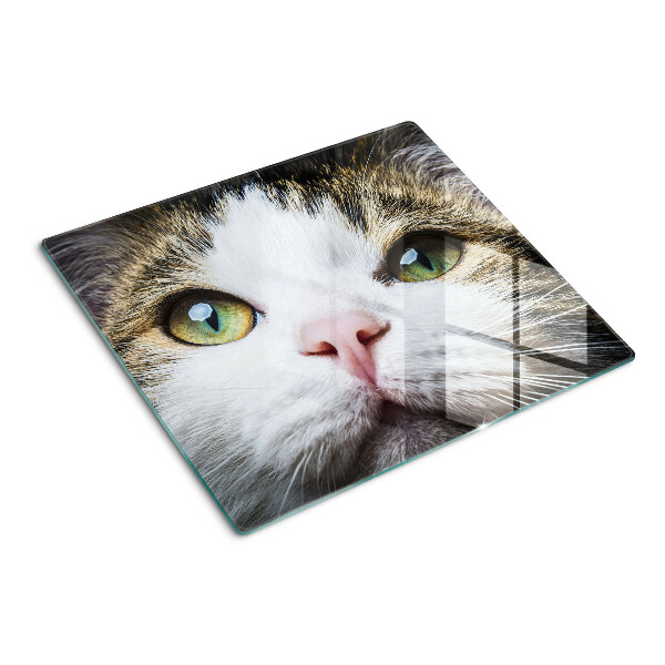 Glasschneidebrett Katze mit grünen Augen