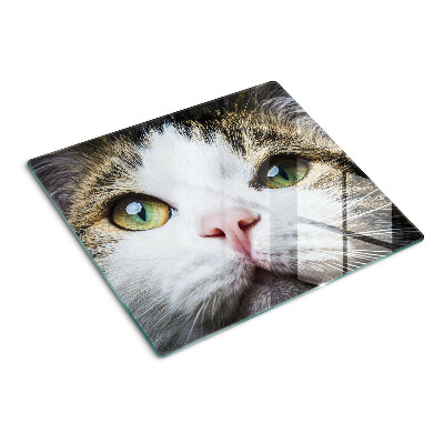 Glasschneidebrett Katze mit grünen Augen