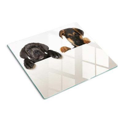 Schneidebrett glas Zwei Hunde schauen sich um