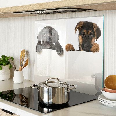 Schneidebrett glas Zwei Hunde schauen sich um