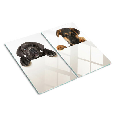 Schneidebrett glas Zwei Hunde schauen sich um