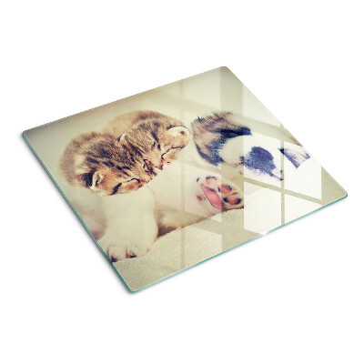 Schneidebrett glas Katzen und ein Hund schlafen zusammen
