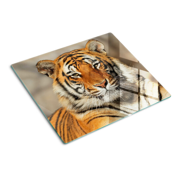 Glasschneidebrett Tiger in natürlicher Umgebung