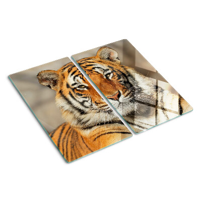 Glasschneidebrett Tiger in natürlicher Umgebung