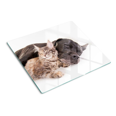 Glasschneidebrett Katze und Hund schlafen zusammen