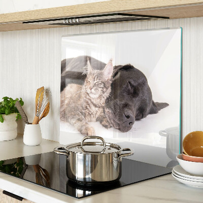 Glasschneidebrett Katze und Hund schlafen zusammen