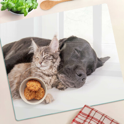 Glasschneidebrett Katze und Hund schlafen zusammen