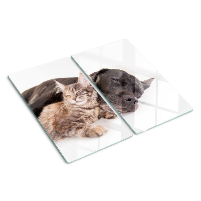 Glasschneidebrett Katze und Hund schlafen zusammen