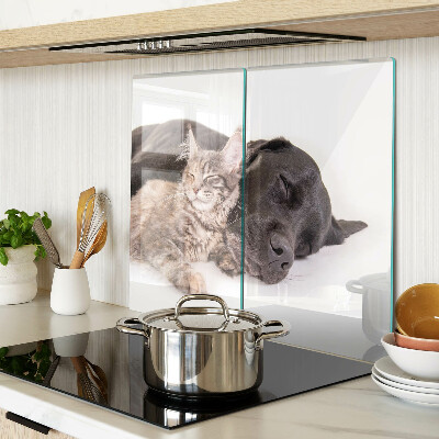 Glasschneidebrett Katze und Hund schlafen zusammen