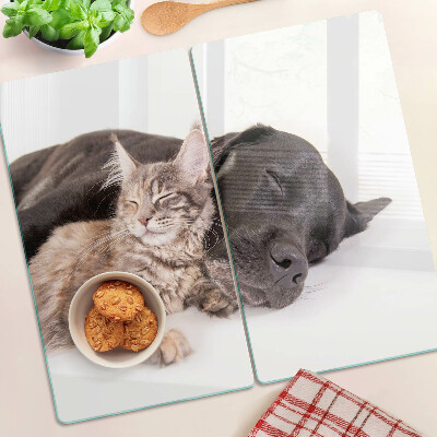 Glasschneidebrett Katze und Hund schlafen zusammen