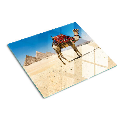 Schneidebrett glas Pyramiden und ein Kamel in der Wüste