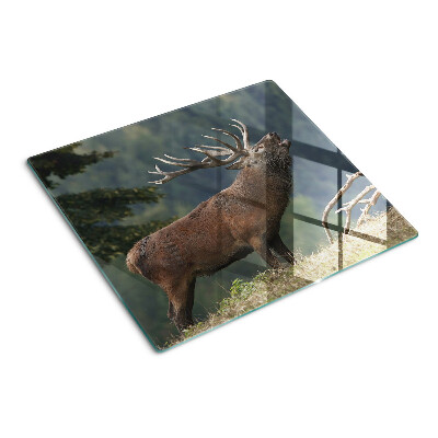 Schneidebrett glas Hirsch in seinem natürlichen Lebensraum