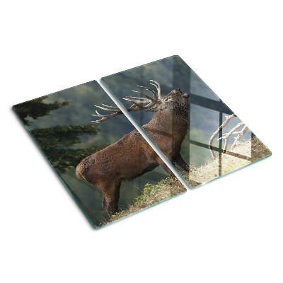 Schneidebrett glas Hirsch in seinem natürlichen Lebensraum