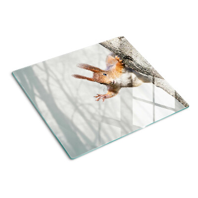 Schneidebrett glas Eichhörnchen auf einem Ast