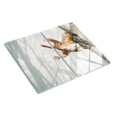 Schneidebrett glas Eichhörnchen auf einem Ast