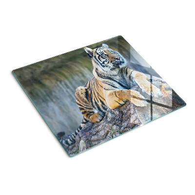 Glasschneidebrett Tiger auf einem Baumstamm