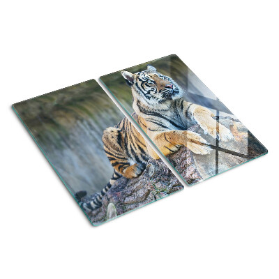 Glasschneidebrett Tiger auf einem Baumstamm