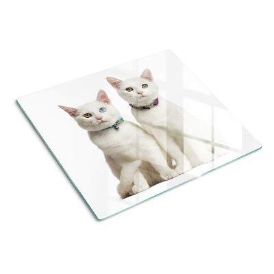 Glasschneidebrett Weiße Katzen mit verschiedenfarbigen Augen