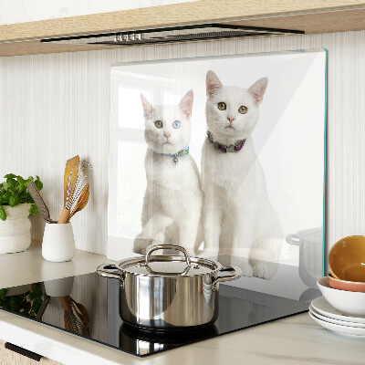 Glasschneidebrett Weiße Katzen mit verschiedenfarbigen Augen