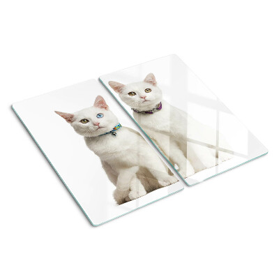 Glasschneidebrett Weiße Katzen mit verschiedenfarbigen Augen