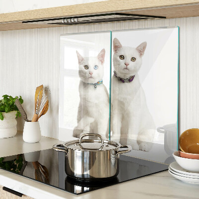Glasschneidebrett Weiße Katzen mit verschiedenfarbigen Augen